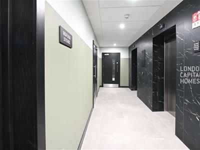 Picture 13